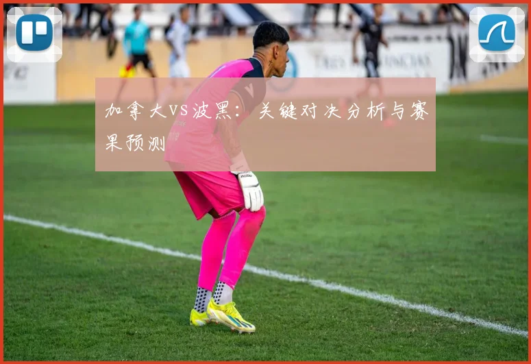 加拿大vs波黑：关键对决分析与赛果预测